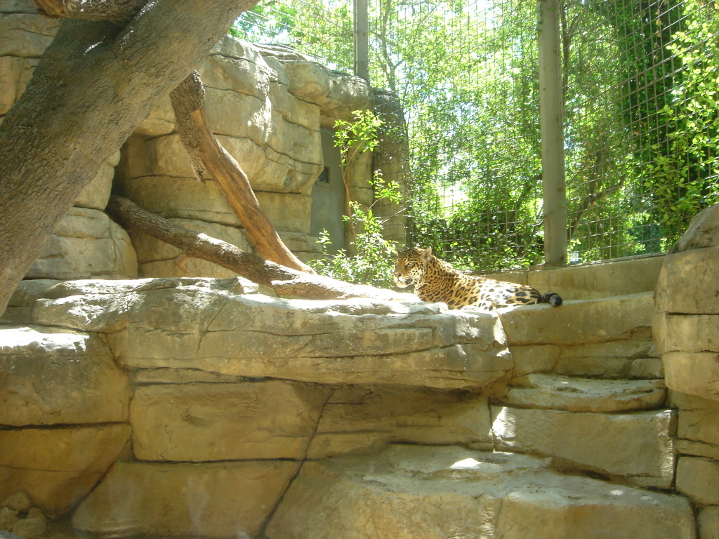 2006/04(Apr)/04(Zoo-Chance-Dax)/1024x768_2006-04-08 13-55-02.JPG